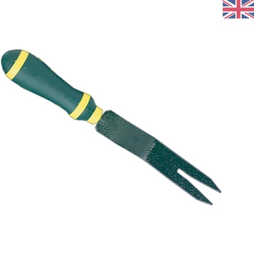 7123770680 evergreen daisy - 7123770680,
