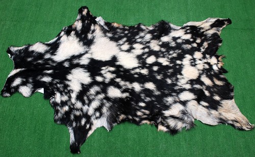 Luxury goat hide rug - goat, on