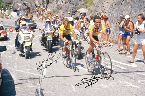 Photo signed bernard - a3,
