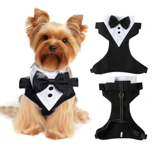Dog tuxedo costume - tuxedo, suit