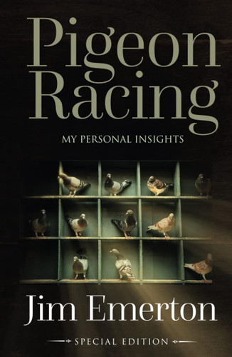 Pigeon racing - pigeon,