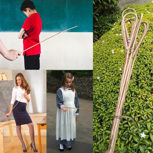 Rattan scholastic punishment - scholastic,
