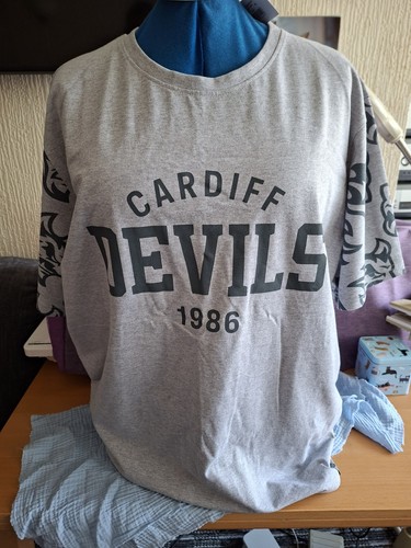 Cardiff devils grey logo - devils,