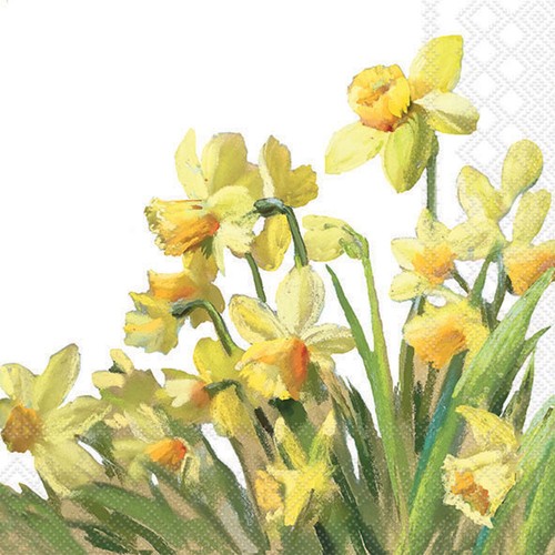 Daffodils napkins vintage - daffodils,
