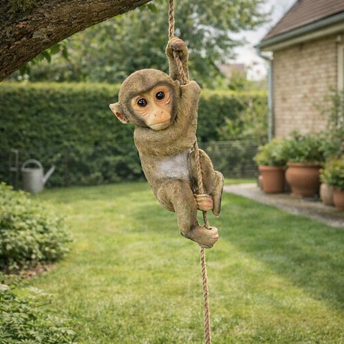 Decoration outdoor hanging - outdoor,