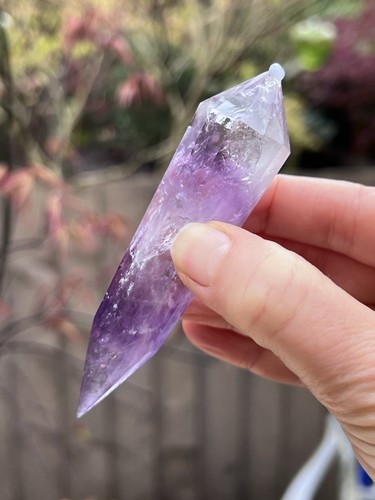 Amethyst purple sided vogel - 12,
