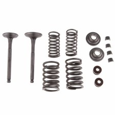 Intake & Exhaust Valves Spring