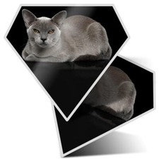 2x Diamond Shape Vinyl