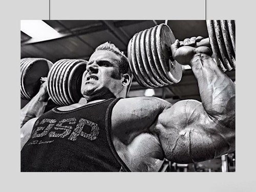 Jay cutler bodybuilding poster - jay,