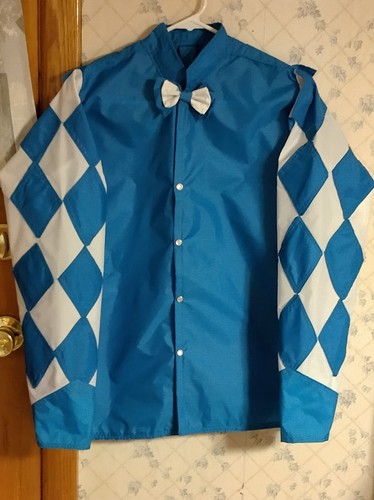 Horse racing jockey - horse,
