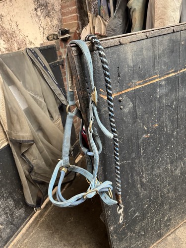 Monty roberts dually training - monty,