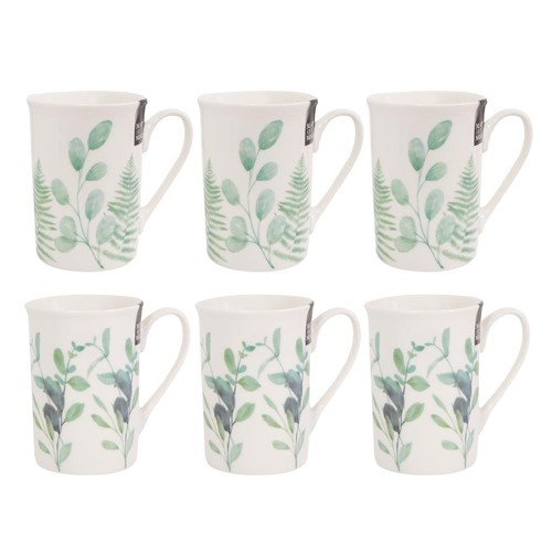 Set eucalyptus new bone - 6,