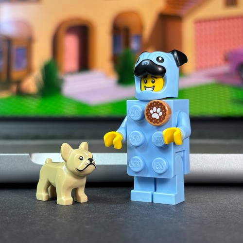 Lego pug brick - brick, costume