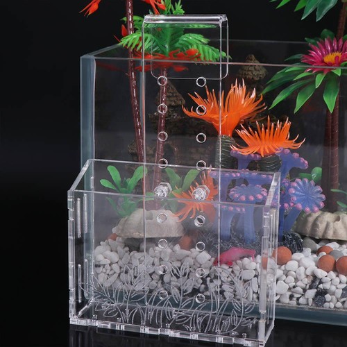 Transparent aquarium plants - aquarium,