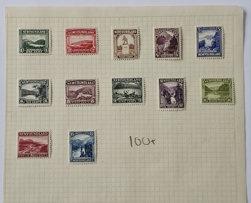 Fab1 newfoundland classics - newfoundland,