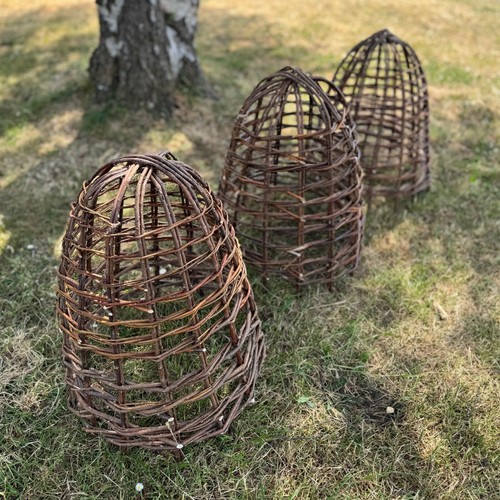 Willow bell cloche garden - willow,