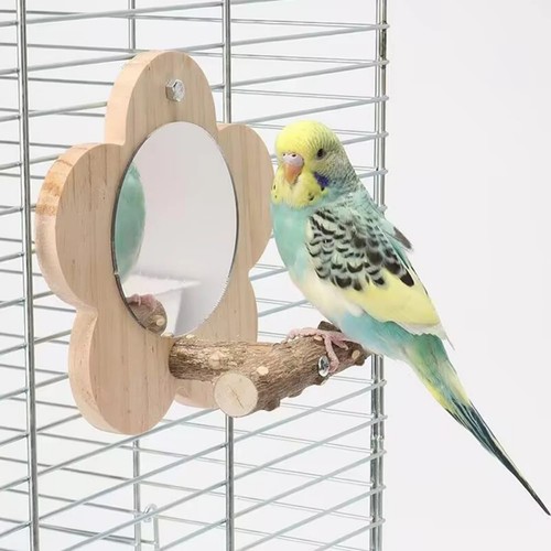 Bird mirror with - bird,