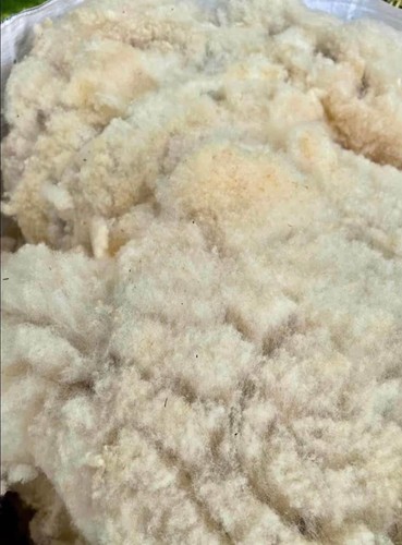 Raw unwashed reel cross - unwashed,