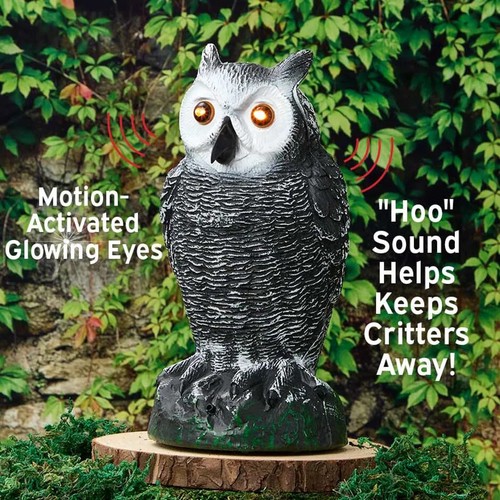 Motion activated light sound - light,