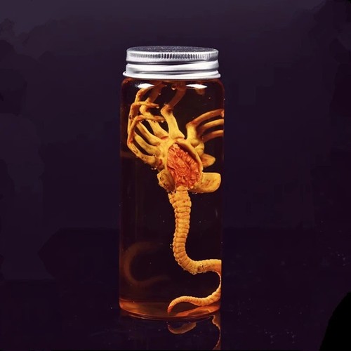 Alien jar xenomorph specimen - xenomorph,