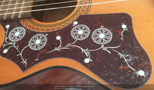 1x Left handed Acoustic guitar