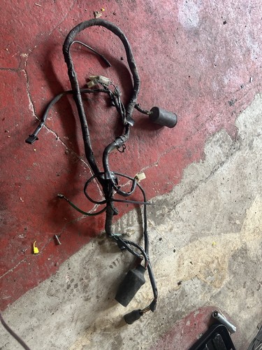 Honda ns125r wiring loom - honda,