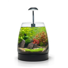 AquaGarden Nano – Complete Live Aquascape Kit – Easy Desktop Ecosystem