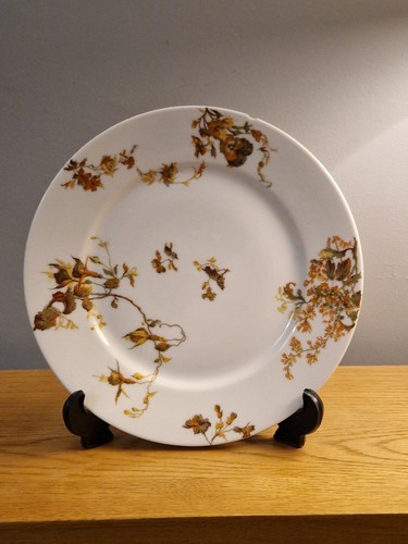 Haviland co limoges - haviland,