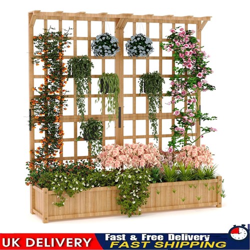 Raised garden bed with - bed,