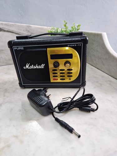 Marshall pure evoke radio - pure, 1s