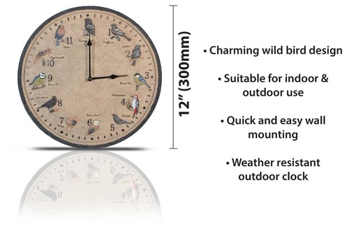 Wall clock wild birds - wall,