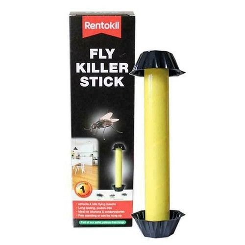 Flying insect fly - flying,