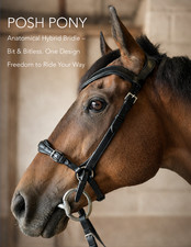 Anatomical Bit & Bitless