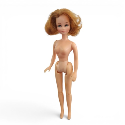 Beautiful rare 1970s palitoy - 1970s,