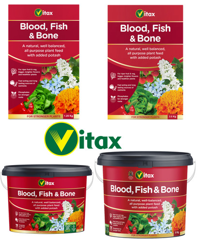 Blood fish bone - fish, multi