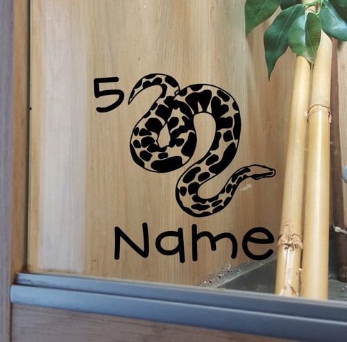Snake customised vivarium - snake,