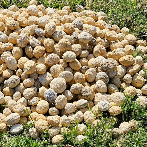 Quartz geodes break your own - -,
