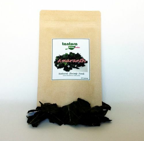 Tantora amaranth leaves - 20,