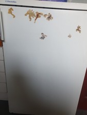 Fridge Freezer White Colour Electrolux Fridge Freezer New Model