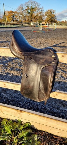 Harry dabbs jaguar dressage - harry,