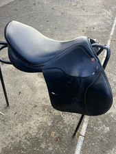 Prestige Golden Star Jumping