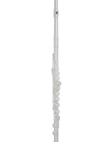 Trevor james 10xe flute - james,