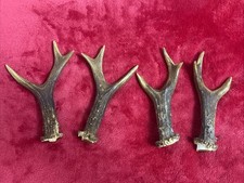 2 PAIRS OF ROE DEER ANTLERS