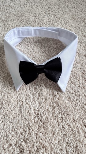 Womens fake collar - collar, detachable