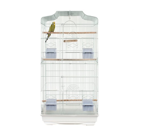 Liberta lotus extra - liberta, tall