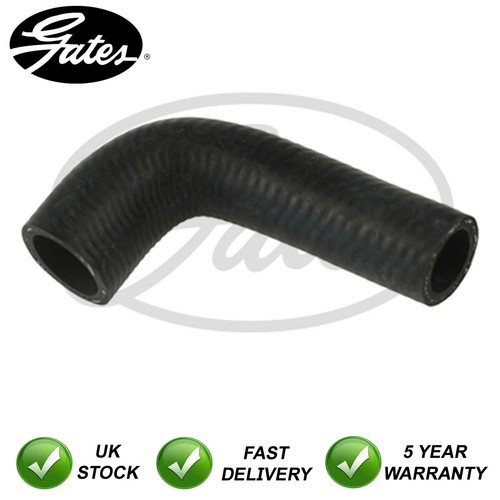 Hose - -, pipe)
