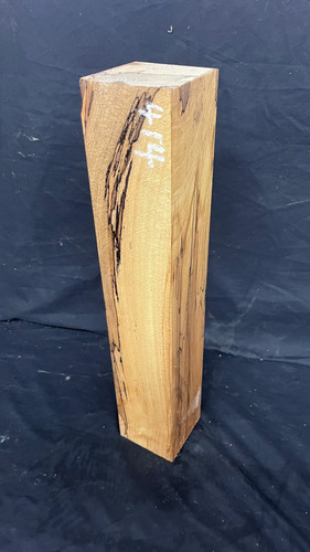 Spalted beech 519 mm - 519, x
