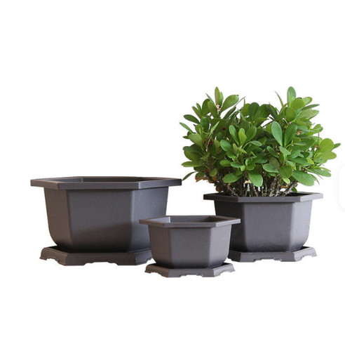 Plastic bonsai training pots - training,