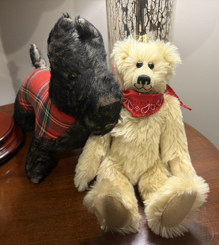 Teddy wendy boston - teddy,