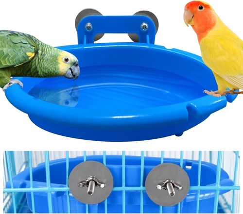 Bird bath for - bath,